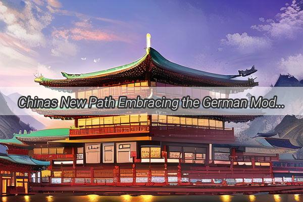 Chinas New Path Embracing the German Model or Mimicking the American Dream